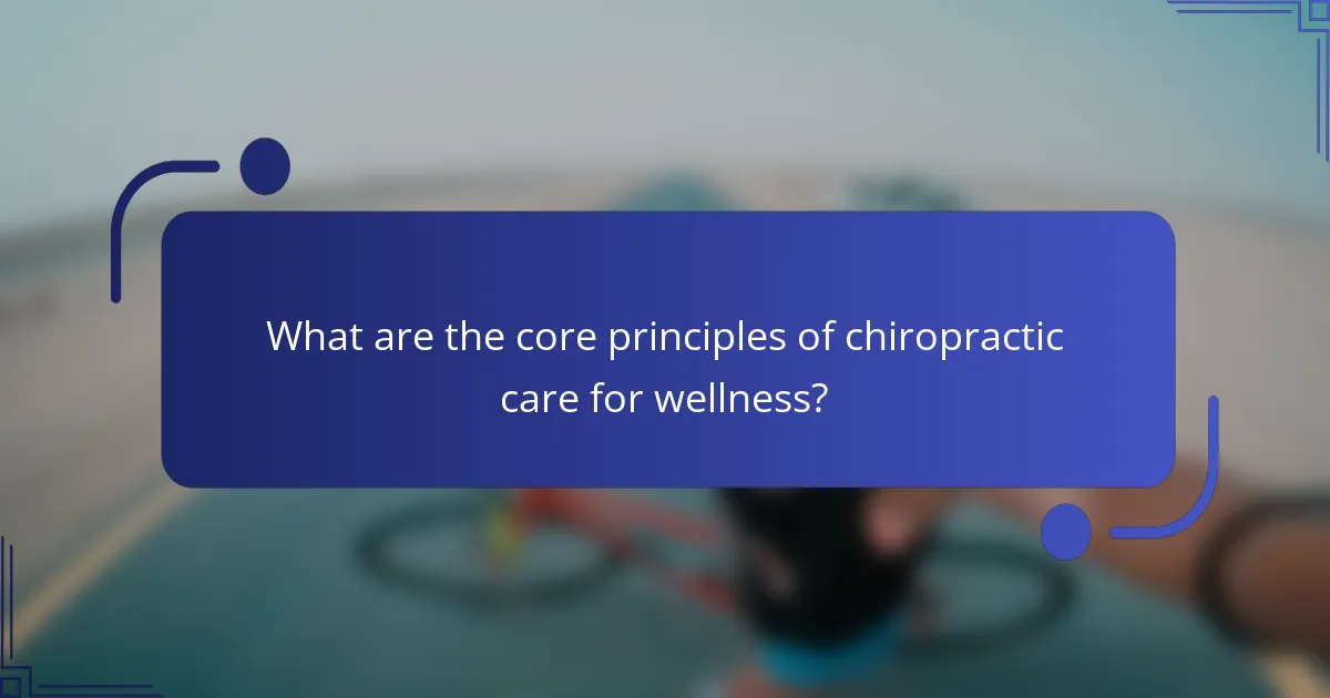 What are the core principles of chiropractic care for wellness?