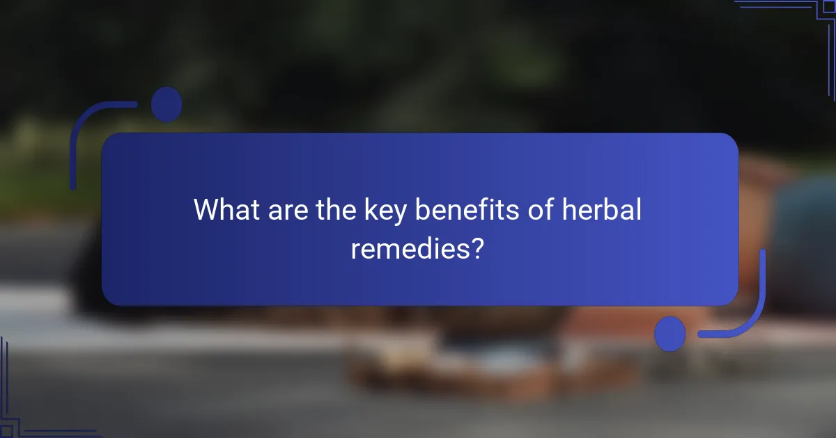 What are the key benefits of herbal remedies?