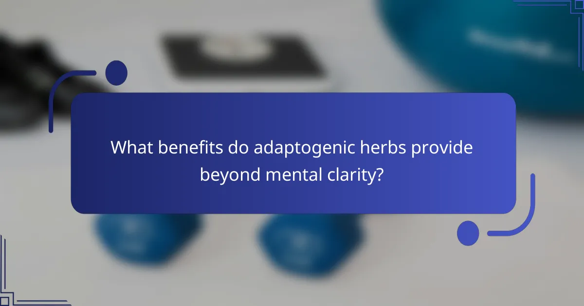 What benefits do adaptogenic herbs provide beyond mental clarity?