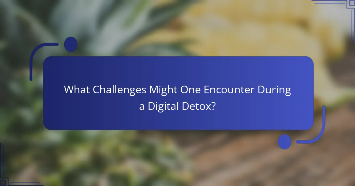 What Challenges Might One Encounter During a Digital Detox?