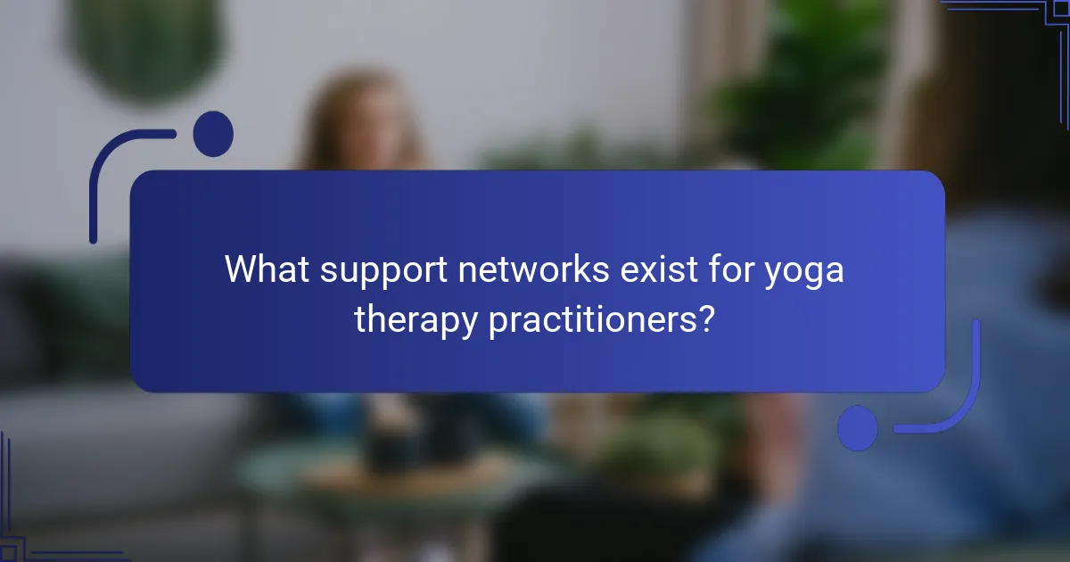 What support networks exist for yoga therapy practitioners?
